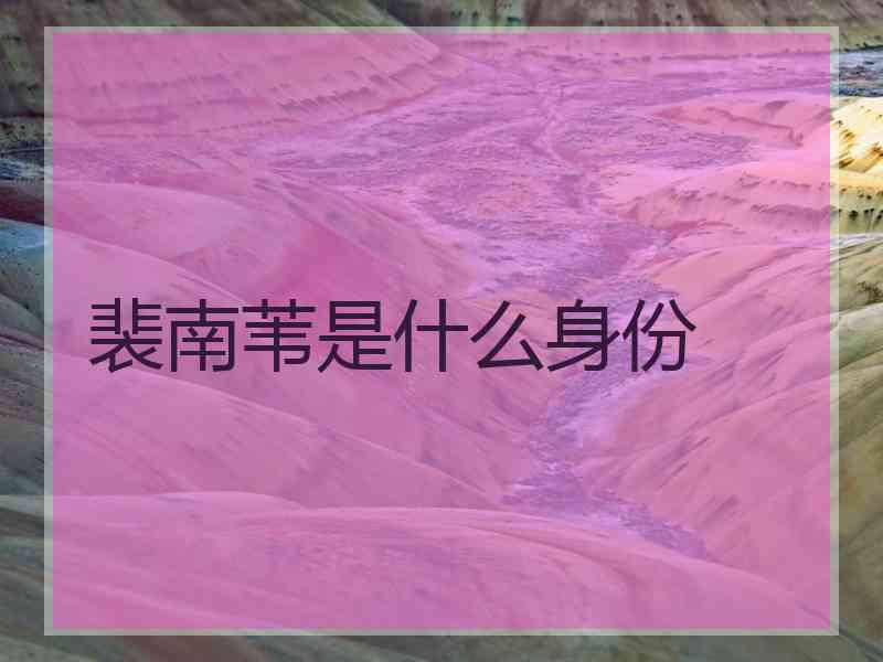 裴南苇是什么身份