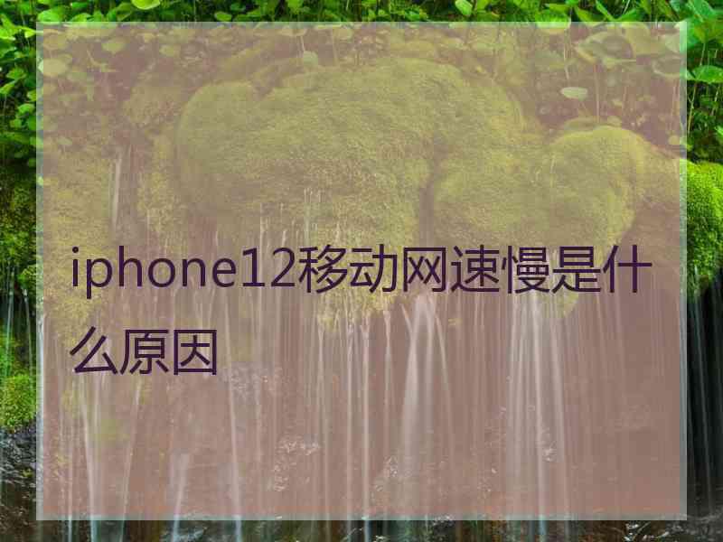 iphone12移动网速慢是什么原因