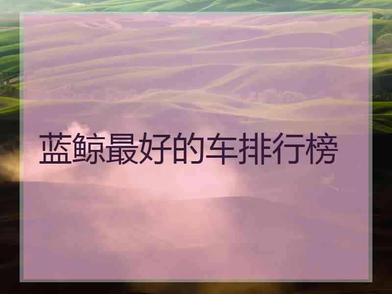 蓝鲸最好的车排行榜