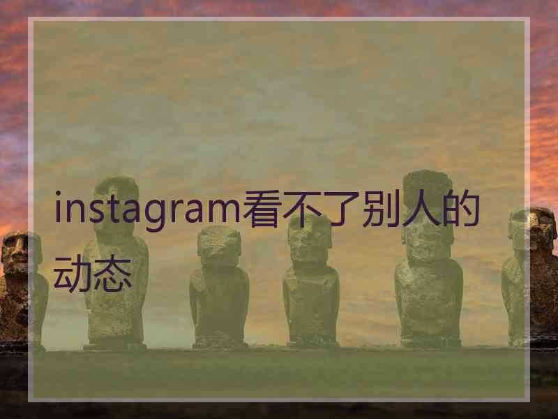 instagram看不了别人的动态