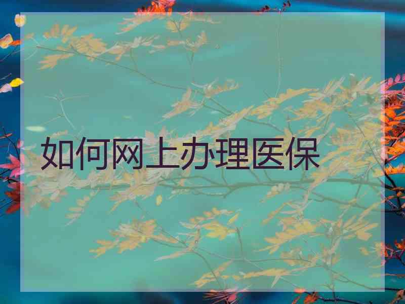 如何网上办理医保