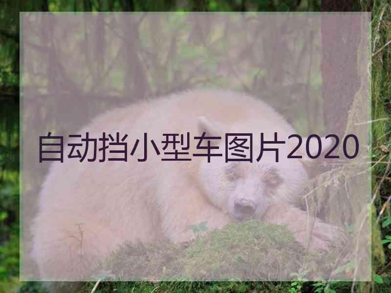 自动挡小型车图片2020