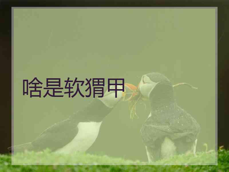 啥是软猬甲