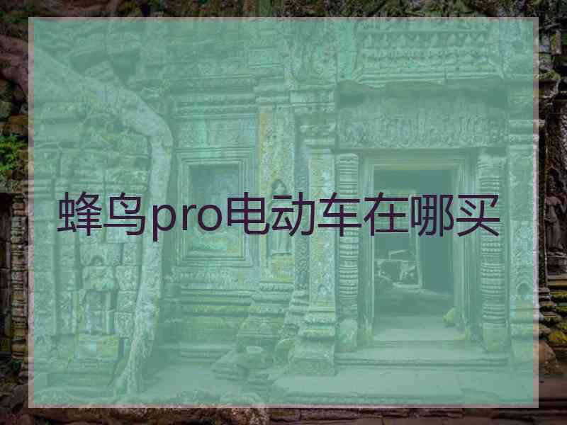 蜂鸟pro电动车在哪买