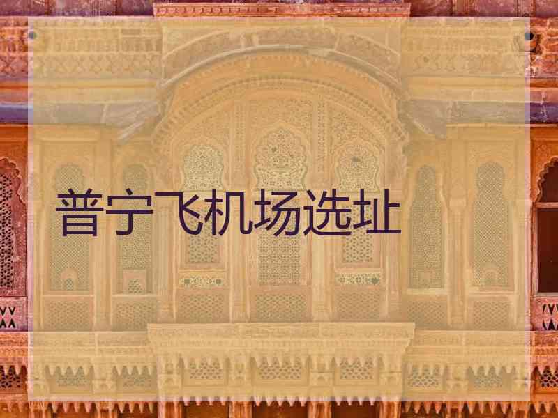 普宁飞机场选址