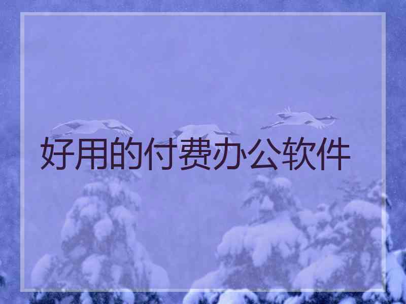 好用的付费办公软件