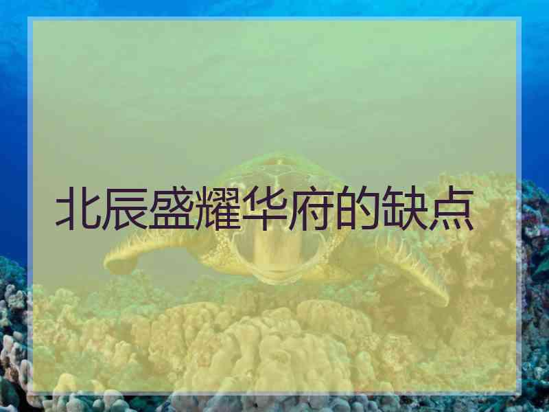 北辰盛耀华府的缺点
