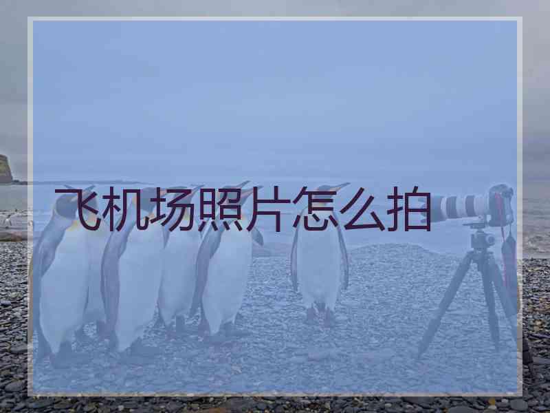 飞机场照片怎么拍
