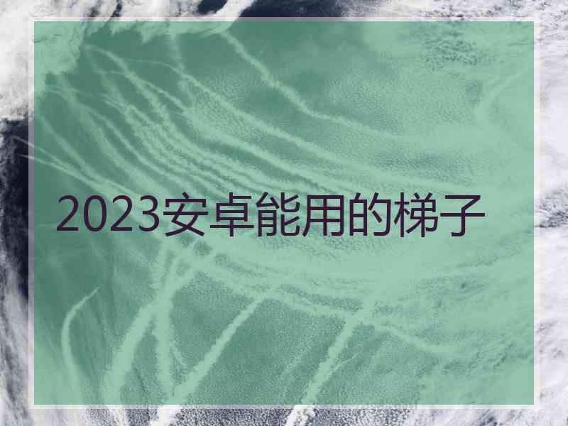 2023安卓能用的梯子