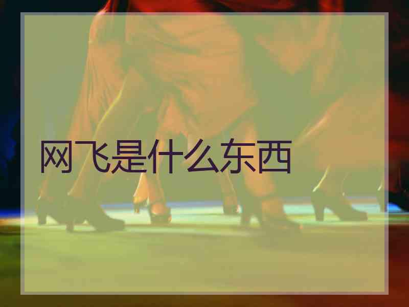 网飞是什么东西