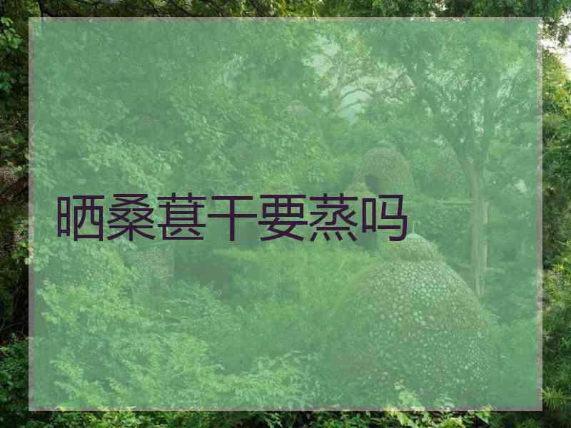 晒桑葚干要蒸吗