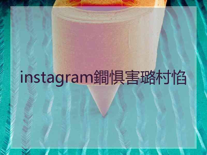 instagram鐧惧害璐村惂