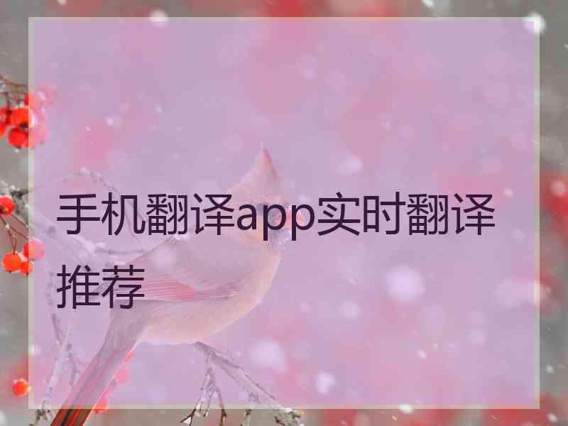 手机翻译app实时翻译推荐
