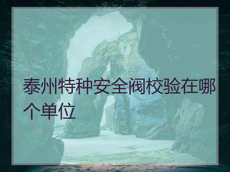 泰州特种安全阀校验在哪个单位