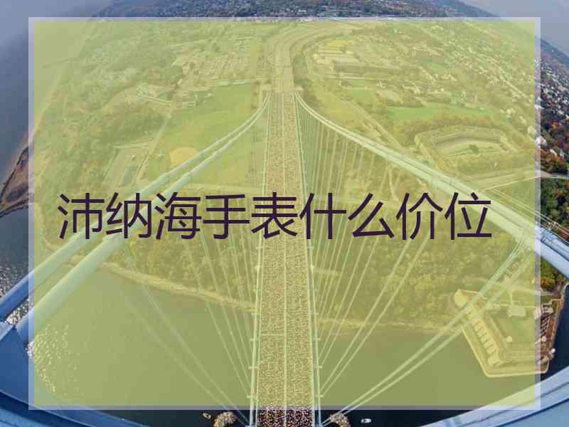 沛纳海手表什么价位