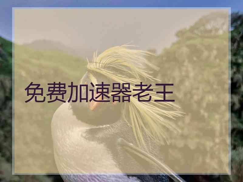 免费加速器老王
