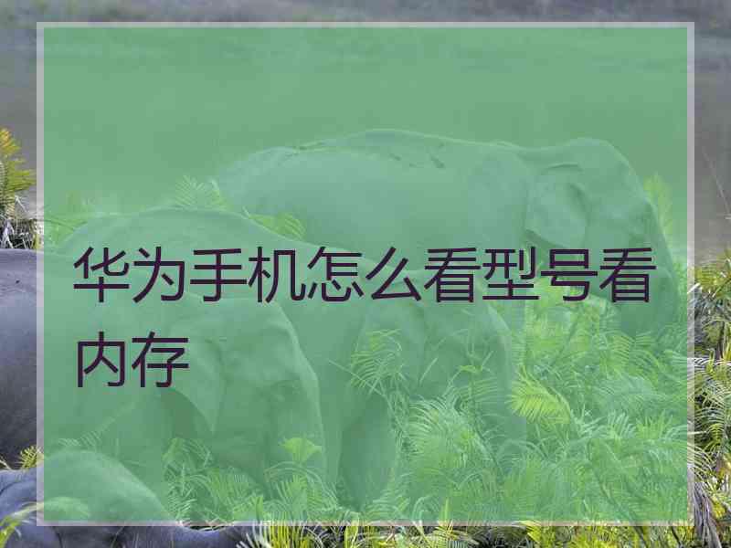 华为手机怎么看型号看内存