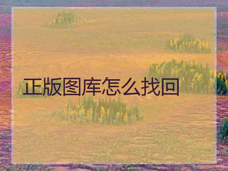 正版图库怎么找回