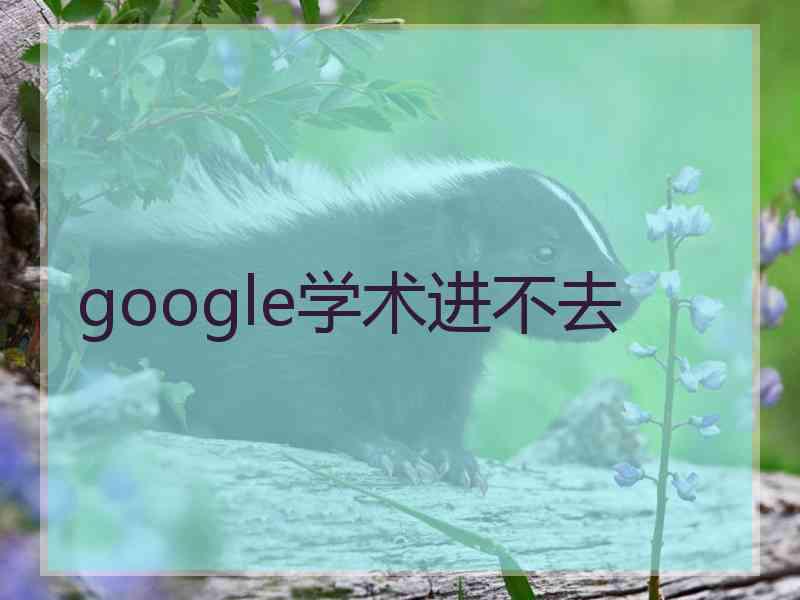 google学术进不去
