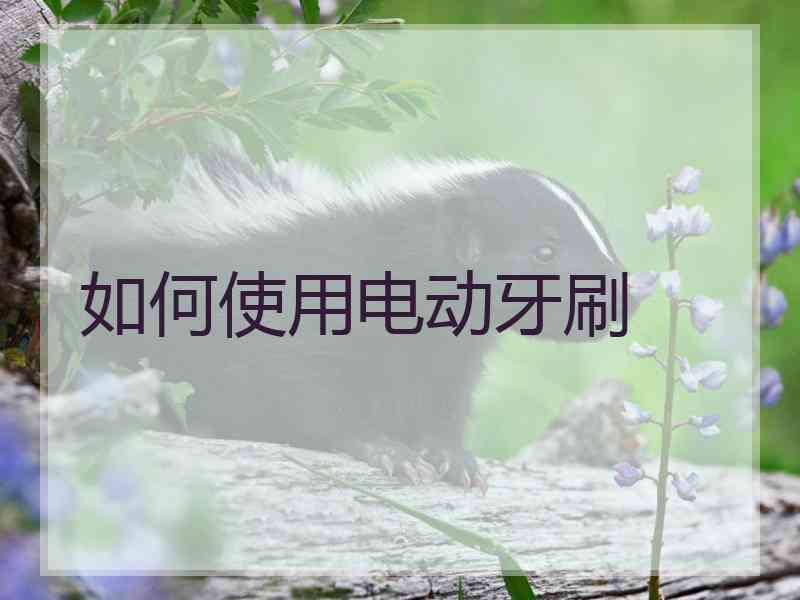 如何使用电动牙刷