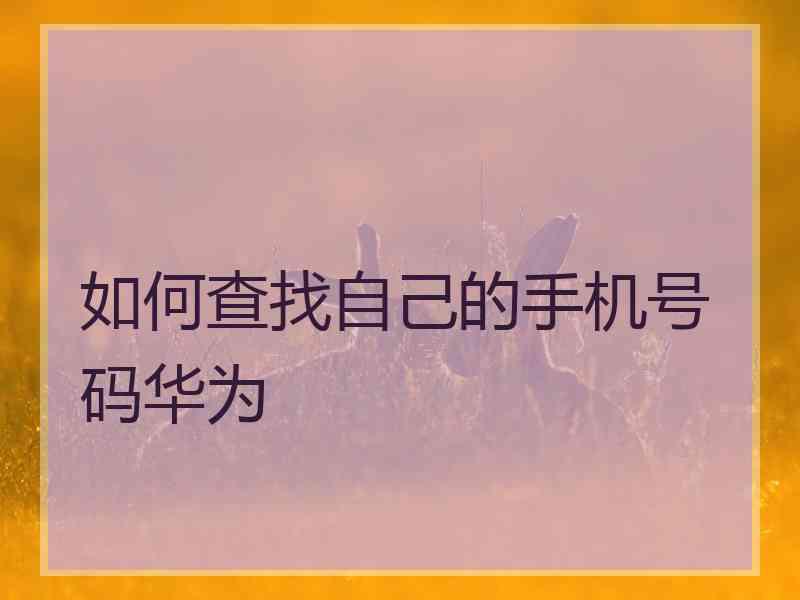 如何查找自己的手机号码华为