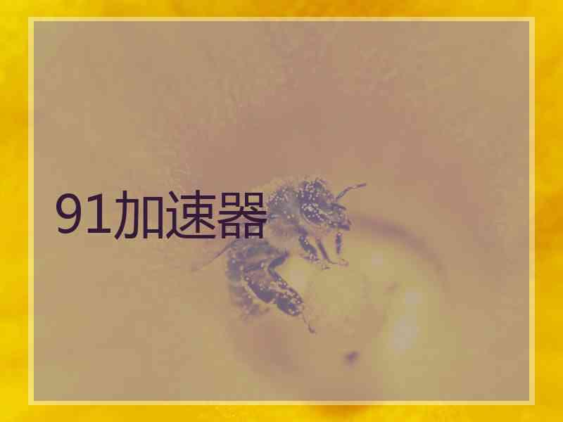 91加速器