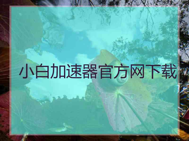 小白加速器官方网下载