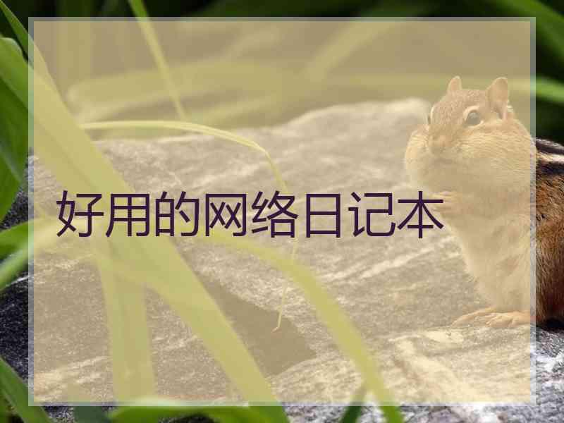 好用的网络日记本