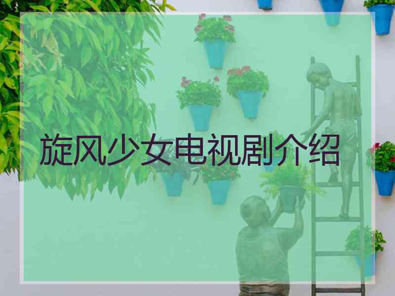 旋风少女电视剧介绍