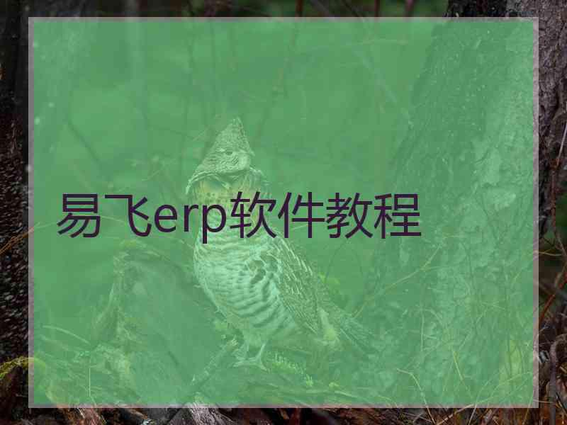 易飞erp软件教程