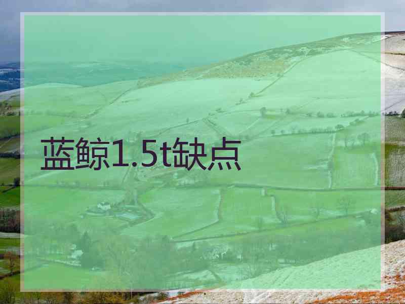 蓝鲸1.5t缺点