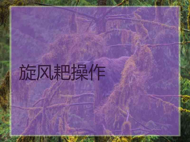 旋风耙操作
