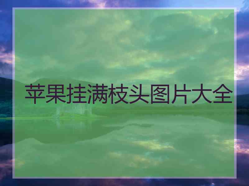 苹果挂满枝头图片大全