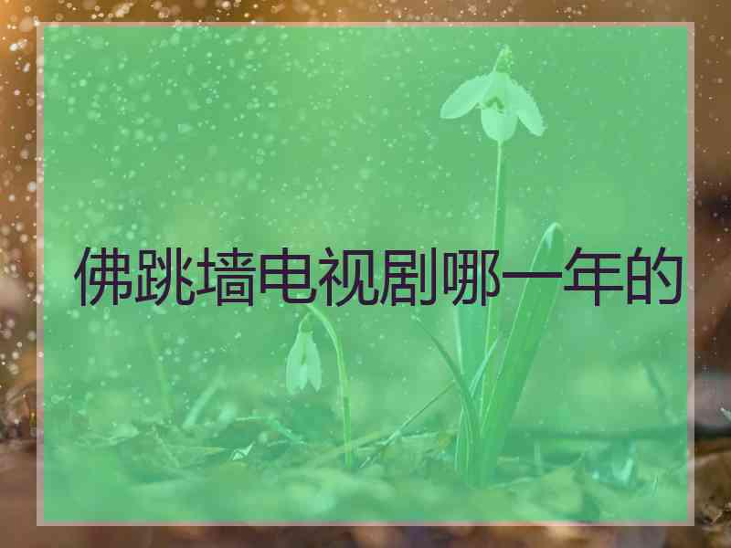 佛跳墙电视剧哪一年的