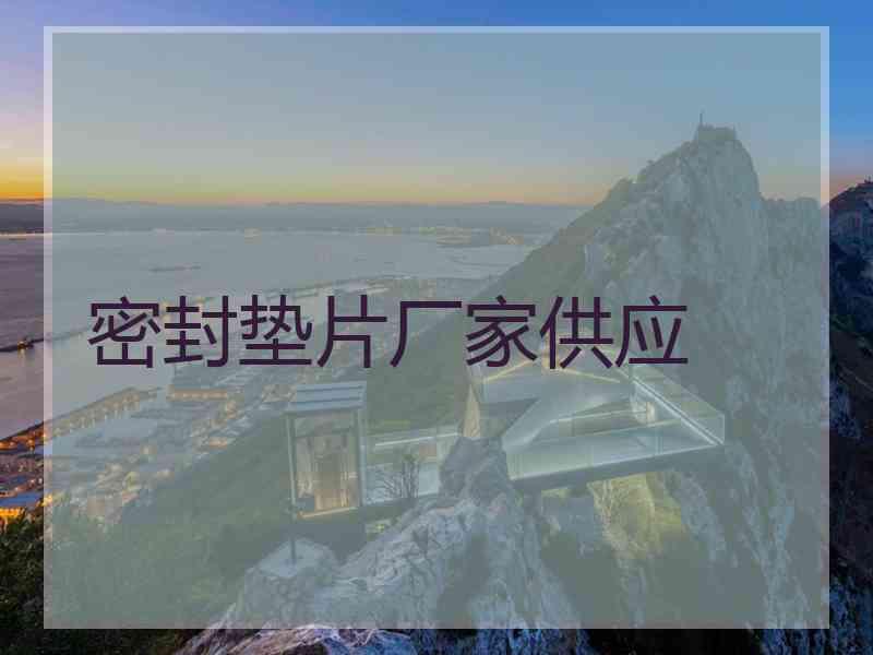 密封垫片厂家供应