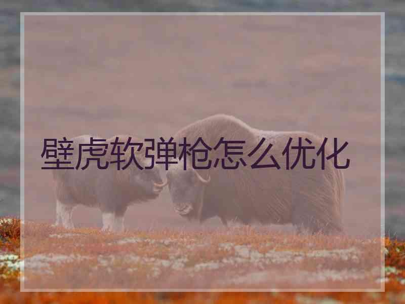 壁虎软弹枪怎么优化