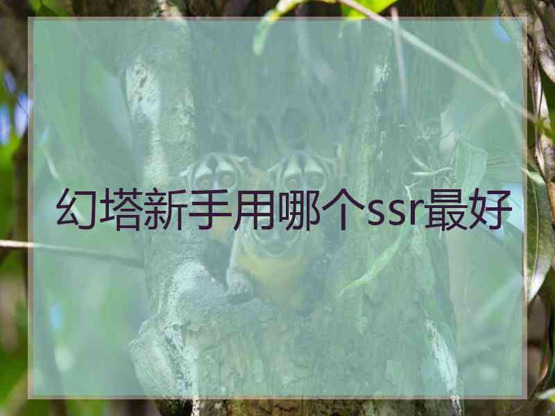 幻塔新手用哪个ssr最好