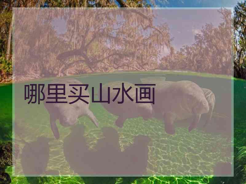 哪里买山水画