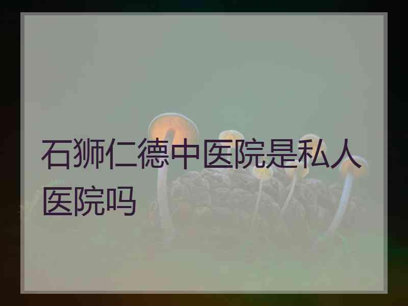 石狮仁德中医院是私人医院吗
