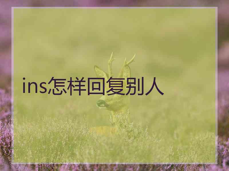 ins怎样回复别人