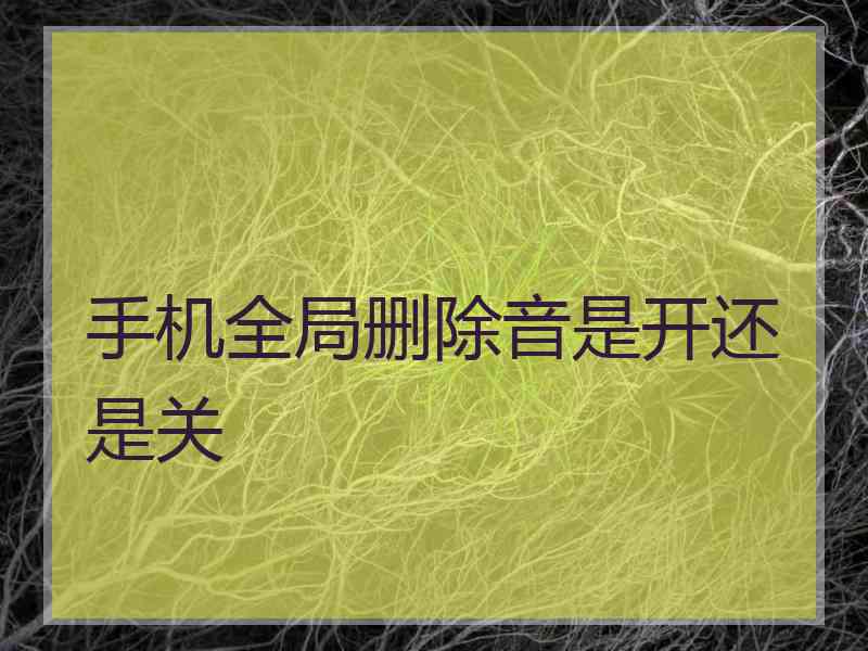 手机全局删除音是开还是关