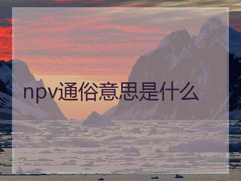 npv通俗意思是什么