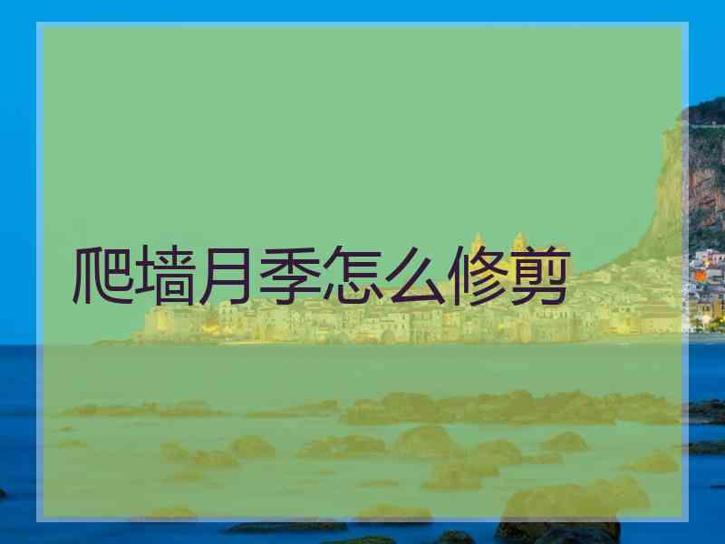 爬墙月季怎么修剪