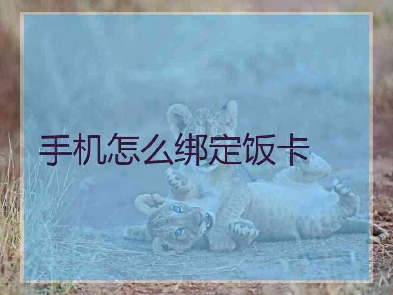 手机怎么绑定饭卡