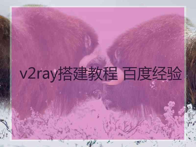 v2ray搭建教程 百度经验
