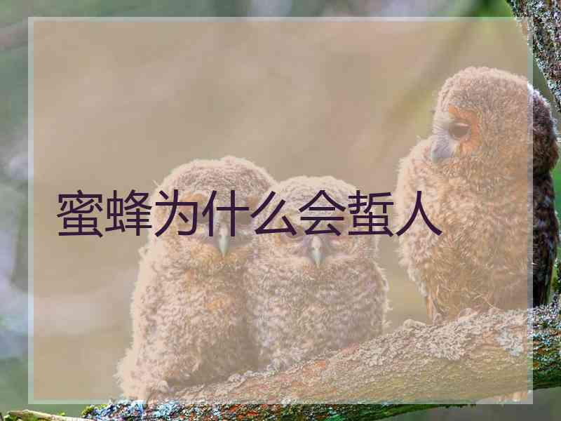 蜜蜂为什么会蜇人