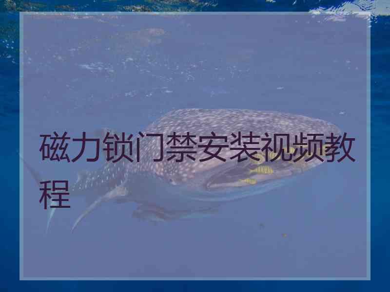 磁力锁门禁安装视频教程