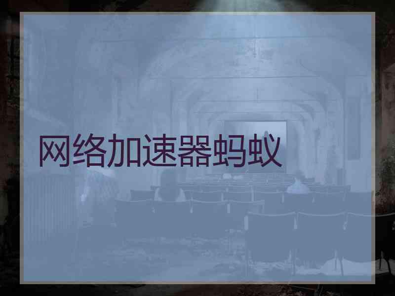 网络加速器蚂蚁