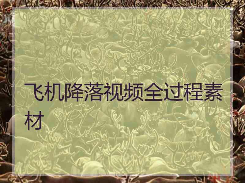 飞机降落视频全过程素材