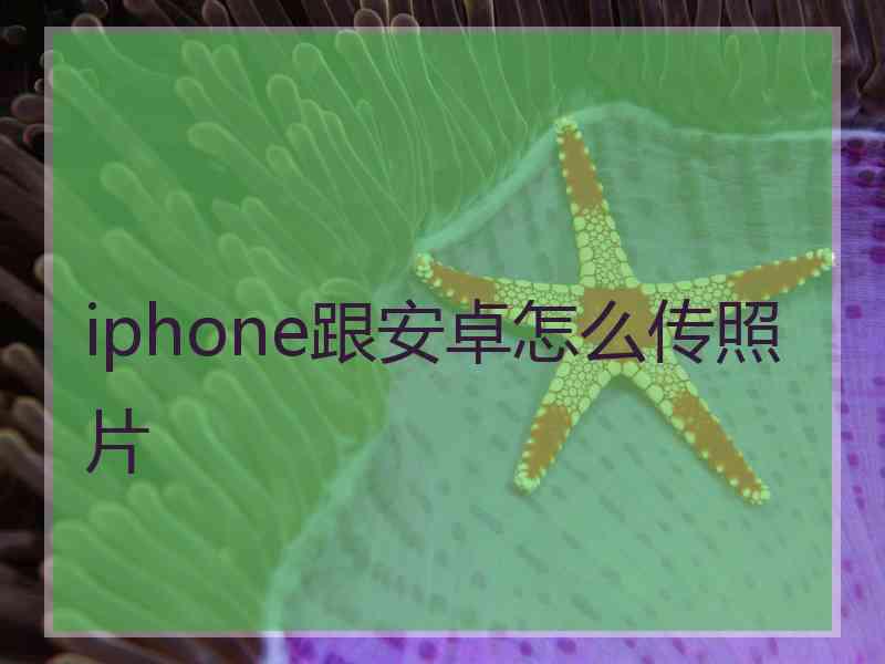 iphone跟安卓怎么传照片